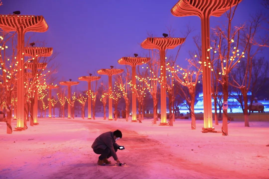 第二届北京世园公园花灯艺术节.jpeg